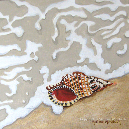 Triton Seashell
